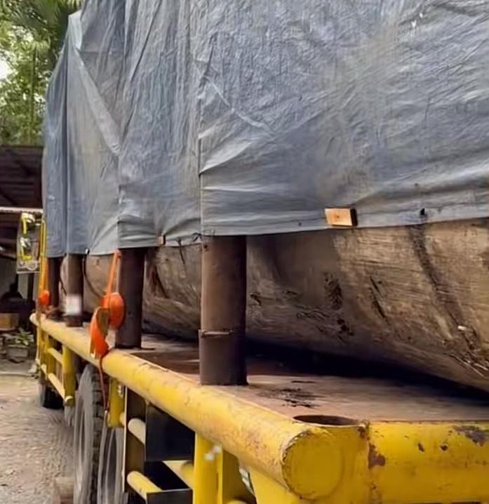 Belum Selesai Tangani Bencana, Truk Pengangkut Kayu Diduga Sudah Melintas Lagi