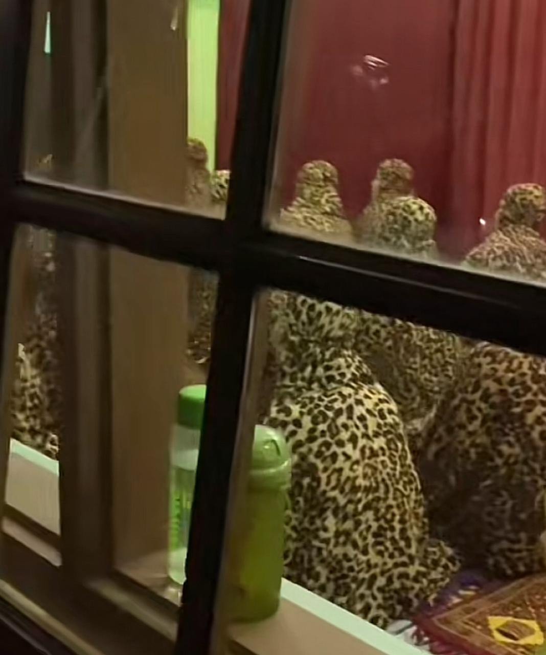 Heboh! Video Jamaah Wanita Solat Tarawih Kompak Kenakan Mukena Motif Macan Tutul Viral