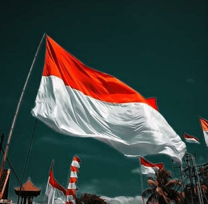 OJK : Indonesia Akan Menjadi Negara Ekonomi Digital Terbesar