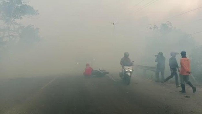 Kabut Asap Selimuti Kebakaran Lahan di Jalinsum Ogan Ilir Sebabkan Pemotor Tabrak Truk