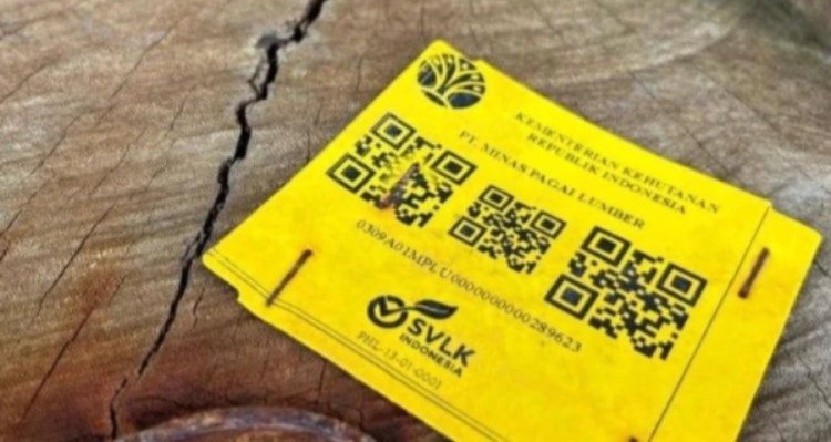 Kapolda Cek Kayu Berbarcode yang Terdampar: Ada Identitas Perusahaan dan Kemenhut