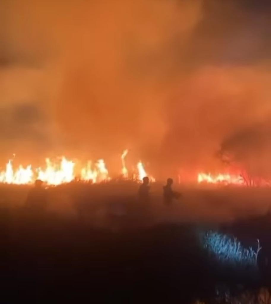 Kebakaran Lahan Meluas Di Jalan Lintas Palembang-Indralaya Sebabkan Asap Tebal Hingga Pagi Ini