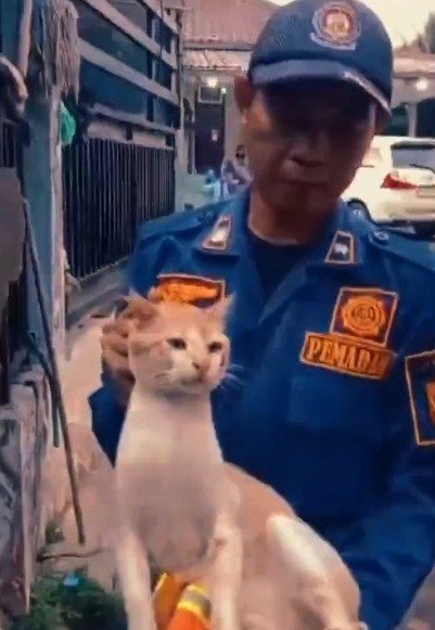 Kucing Oyen Kelewat Barbar Diamankan oleh Petugas Damkar, Warga Lega