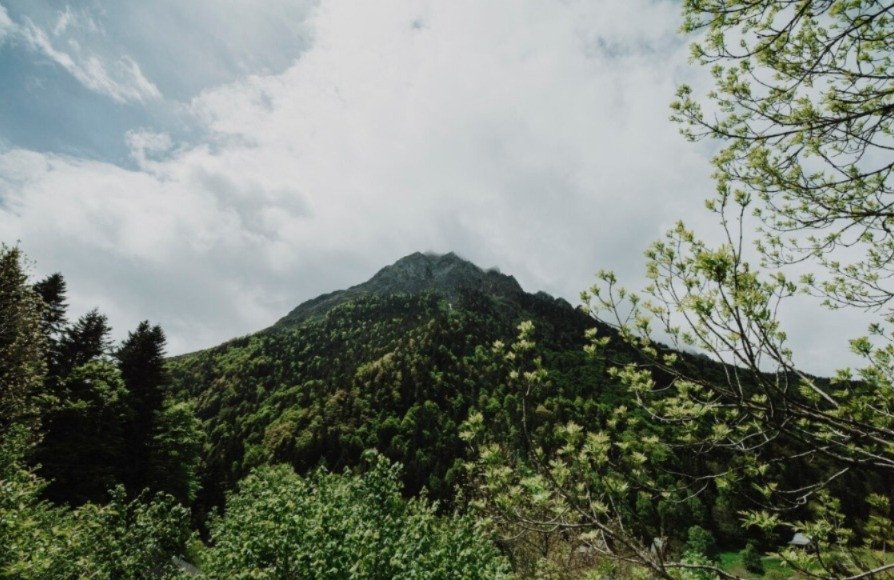 Terpisah dari Rombongan, Naomi Daviola Akhirnya Ditemukan Selamat di Gunung Slamet