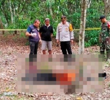 Tragis! Pencuri Jengkol Tewas Dalam Duel Melawan Pemilik Kebun