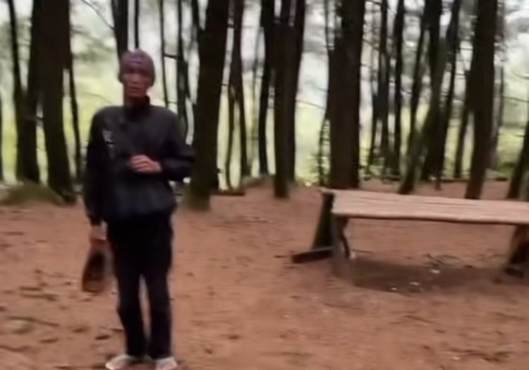 Viral! Aksi Pungli di Hutan Pinus Bogor, Pria Minta Uang pada Pengunjung yang Berfoto