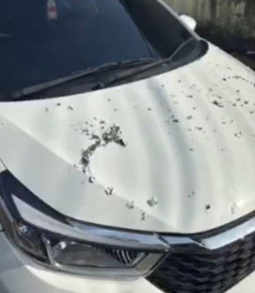 Viral! Dua Mobil Baru Disiram Air Keras, Diduga Dilakukan Tetangga